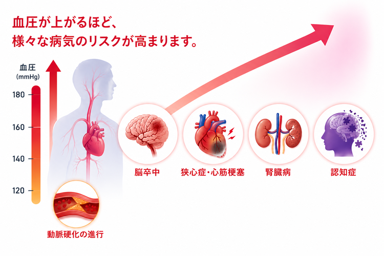 血圧のイメージ画像